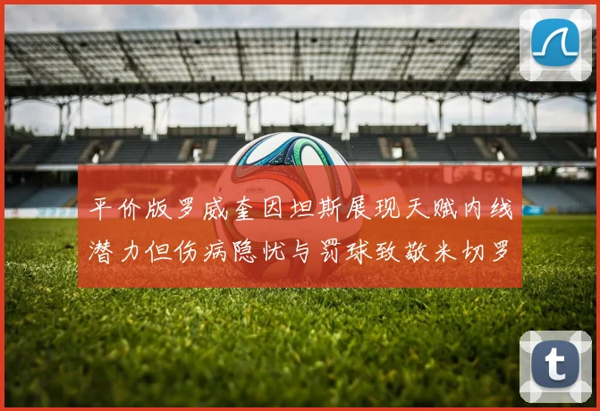 平价版罗威奎因坦斯展现天赋内线潜力但伤病隐忧与罚球致敬米切罗