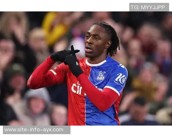 芬兰商人揭秘曼联复兴计划直言红魔现状令他心痛不已