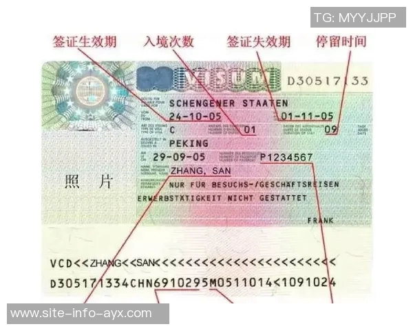 塞帕罕外援回忆德黑兰遇袭经历迅速撤离无碍西班牙签证问题